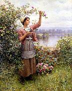 Daniel Ridgeway Knight Gathering Roses oil on canvas